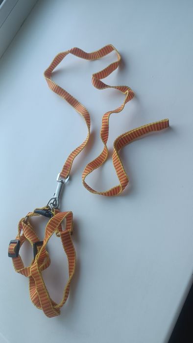 Шлейкадлякошекшшшш