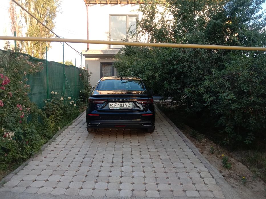 Cherry arizo 6  comfort