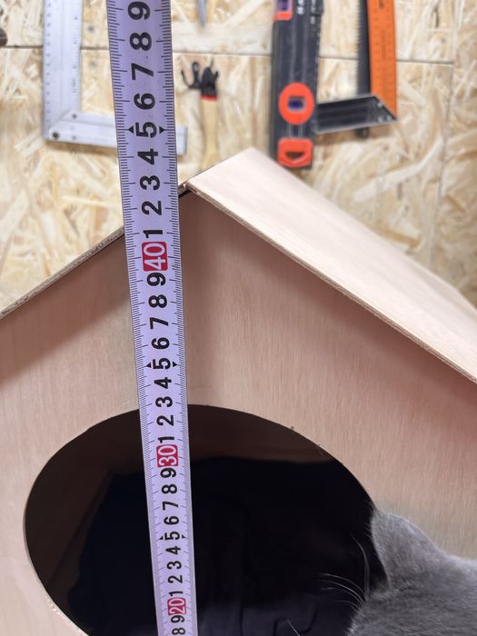 Кошкин дом видео на ватцап отравлю