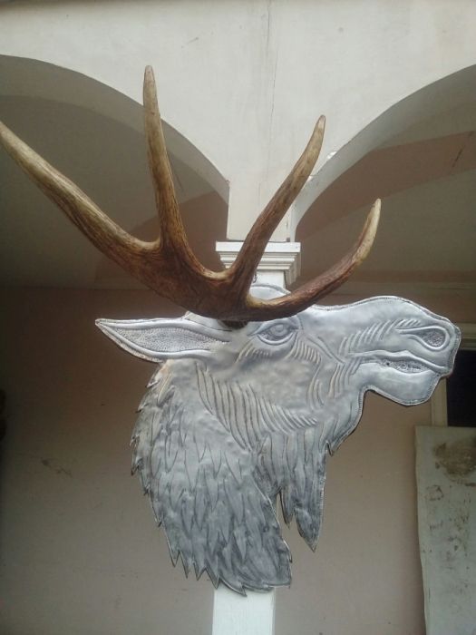 Рог лося итерьер