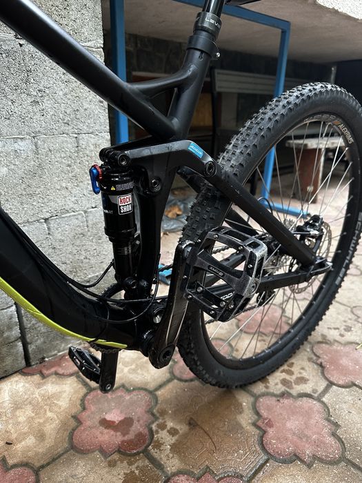 Canyon neuron 2017 AL 29