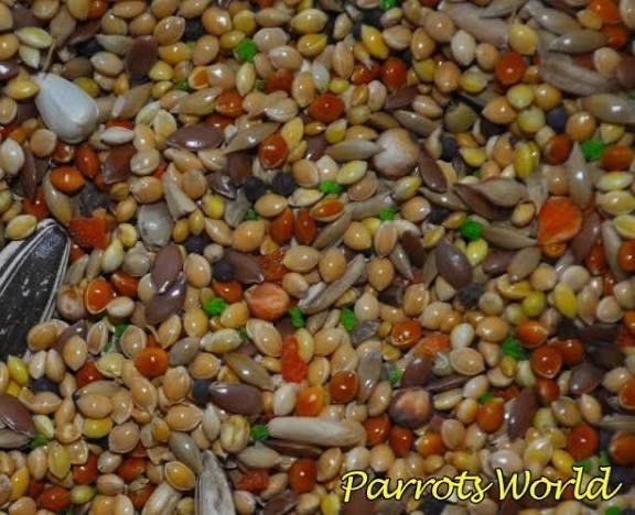 Корма для всех птичек