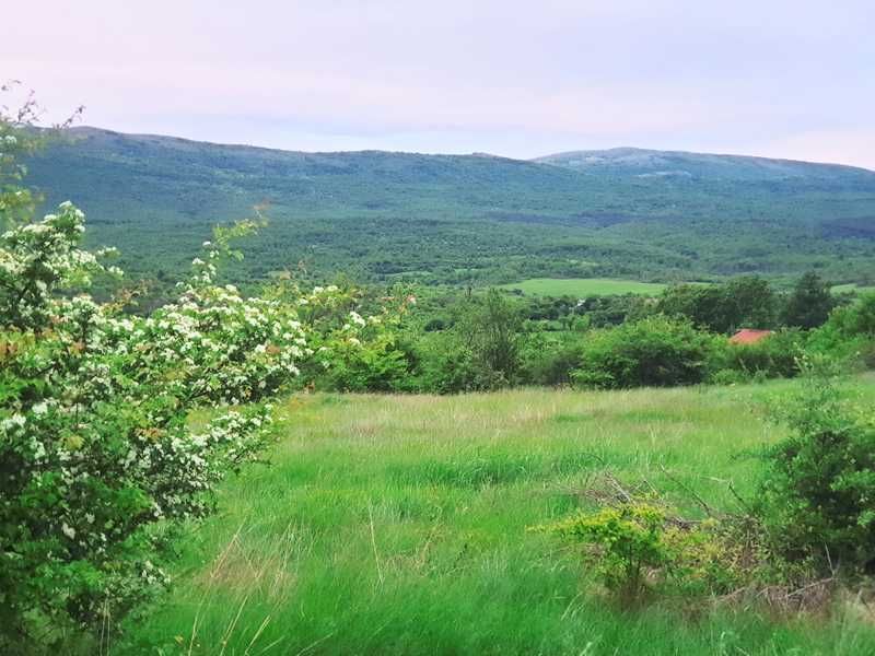 Продава се Къща в с. Туден, Област София-област - 69 кв.м за 798 €/кв.м - Снимка #6