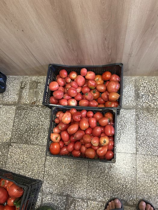 Домашни домати за консерви