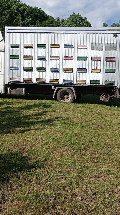 Vând ,schimb,stupina camioneta Iveco 3,5t