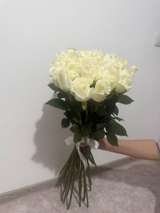 Свежи жаңа келді