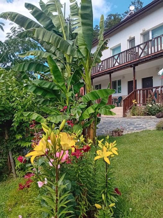 Продава къща в с. Ощава, общ. Сандански