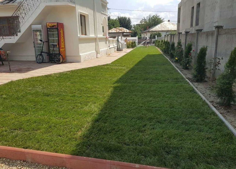 Amenajare gradini cu Plante, Piatra si Gazon