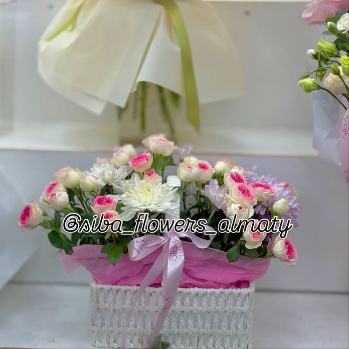 Цветы На Сайна 18/1 Siba Flowers
