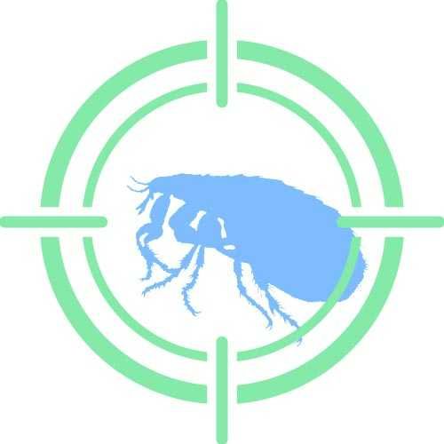 Дезинфекция | Дизинфекция  Дизенфекция Дезенфекция от клопов тараканов