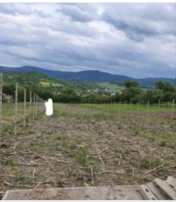 Vand 27 ari intravilan in Aghires