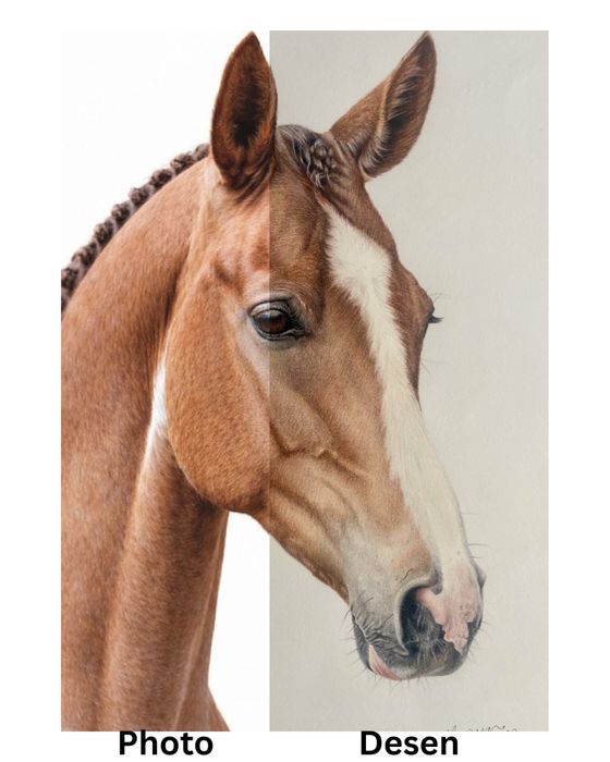 Portrete animalute - Cadoul perfect