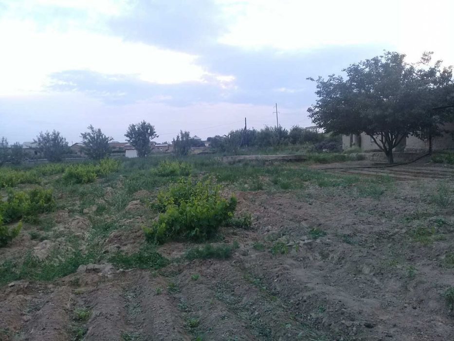 Жой сотилади, бу́линадиган. Нархи келишилади.