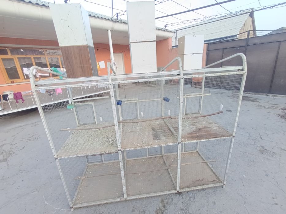 Quwga qafas  etajerka olti jup paraga