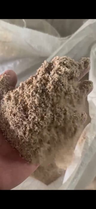 Продам Дробленную Пшеницу