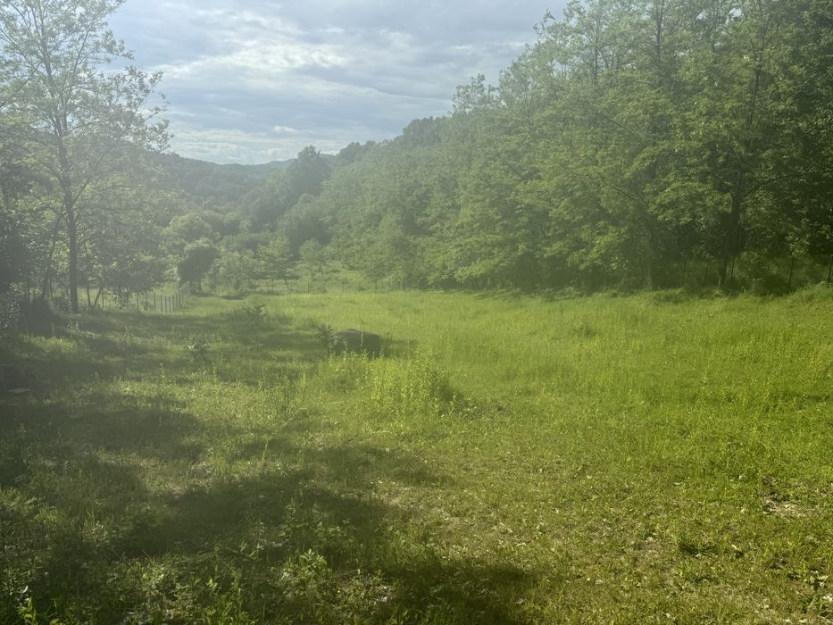 Teren intravilan / extravilan Ocnele Mari