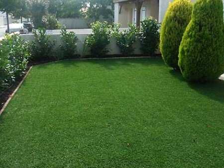 Gazon Rulou Natural Livrare Gratuita in DJ, OT, MH, GJ Craiova • OLX.ro