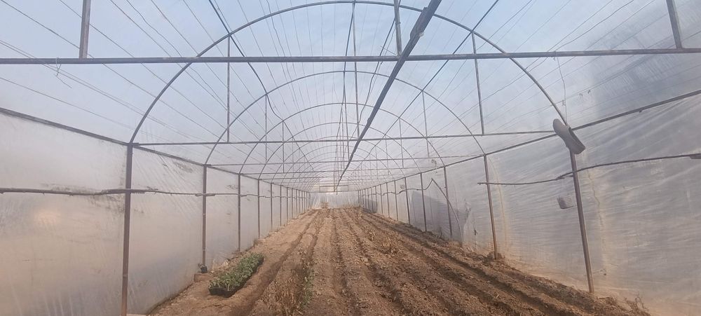 Issiqxona, теплица sotiladi