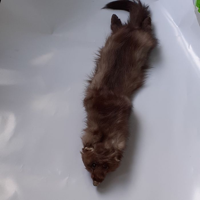 Топла яка за студени зимни дни