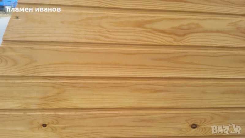 иглолистна ламперия с широко перо