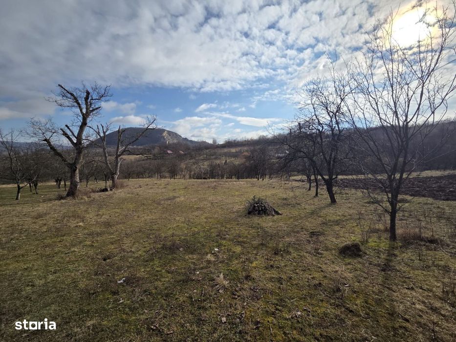 Teren intravilan, 3800 mp, ideal investitie - zona turistica , Moigrad