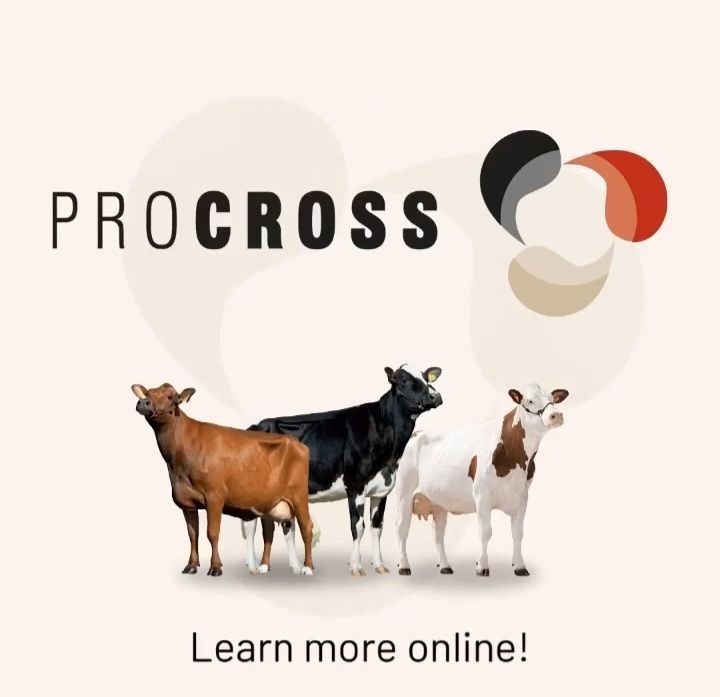 Ишчи чупон согимчи керак фирмага