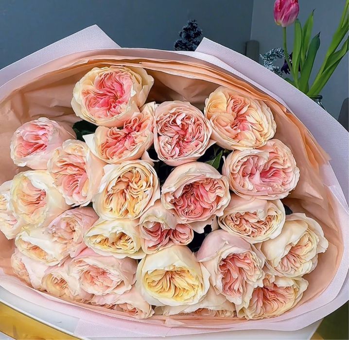 Пионовилные розы свежие