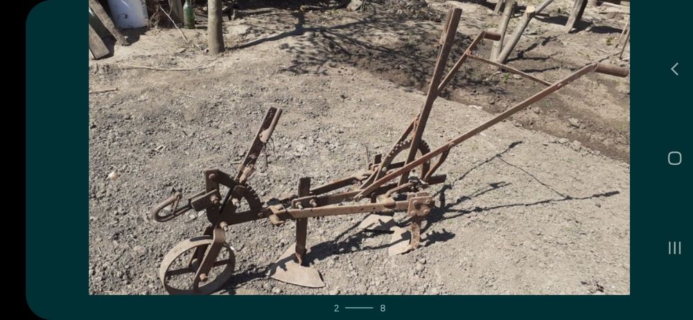 Prasitoare Rarita Plug