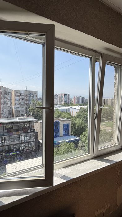 Пластиковые   окна (2 шт)