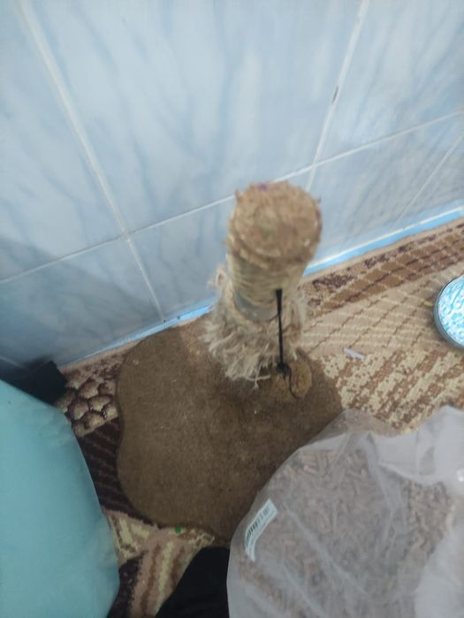 Отдам кота в добрые руки