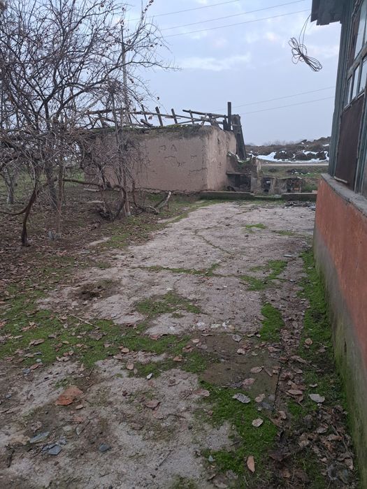 Пискэнт туманида ер сотилади