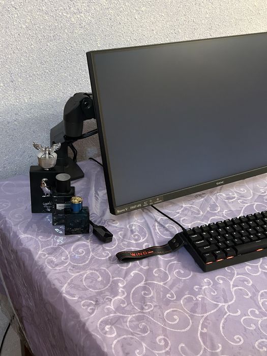 Монитор sanc 200hz fast ips 24.5