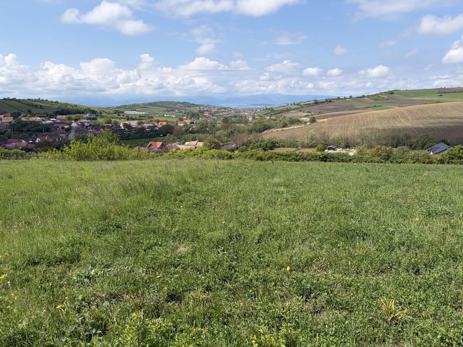 Teren extravilan in Hamba strada Florilor