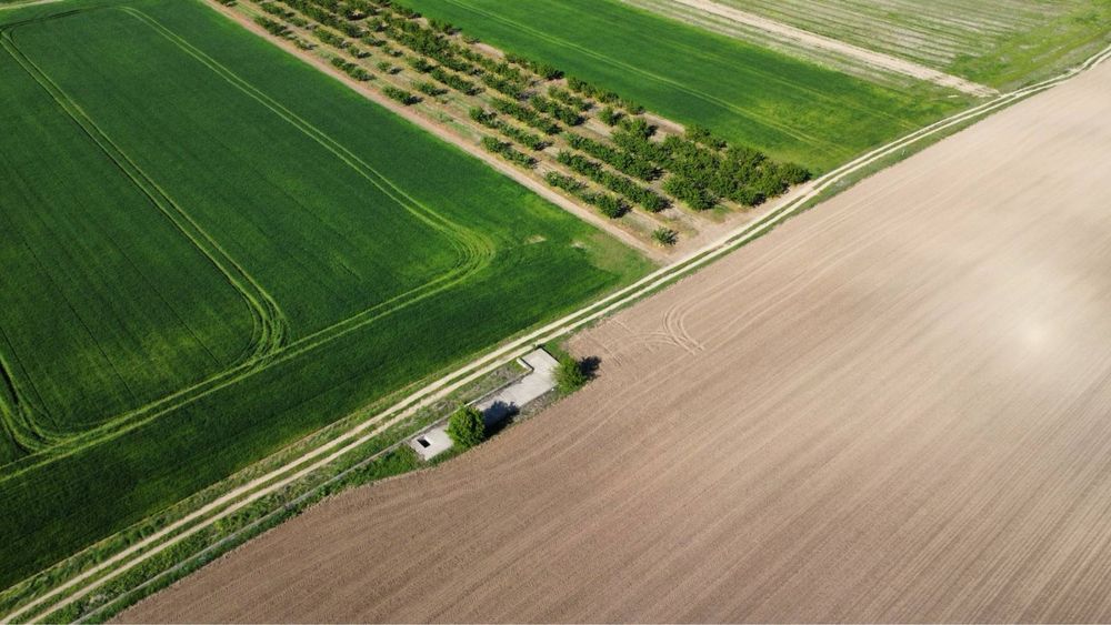 Продава се Парцел в с. Цалапица, Област Пловдив - 33600 кв.м за 0 €/кв.м - Снимка #4