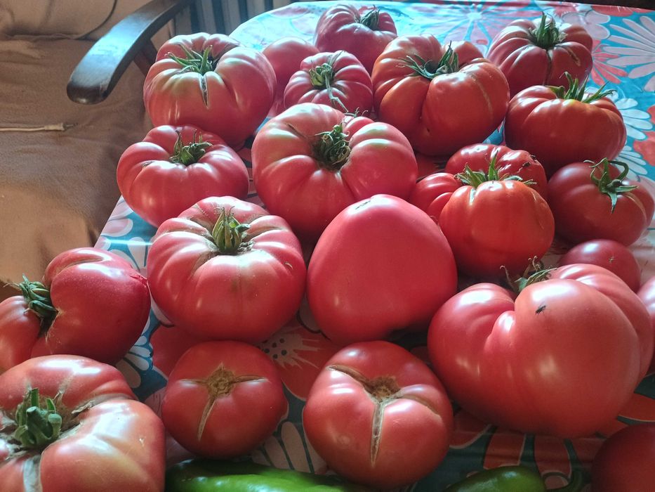 Продавам буркани с домати на цена 3 евро