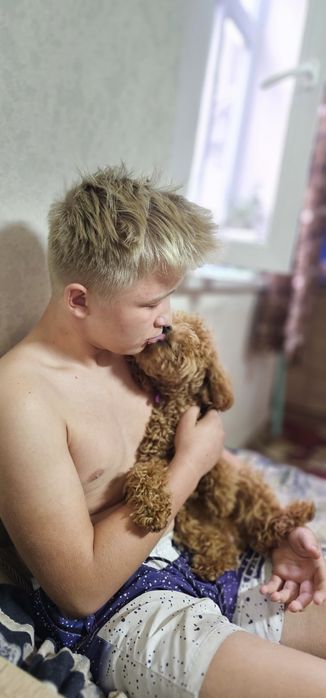 Профессиональная передержка