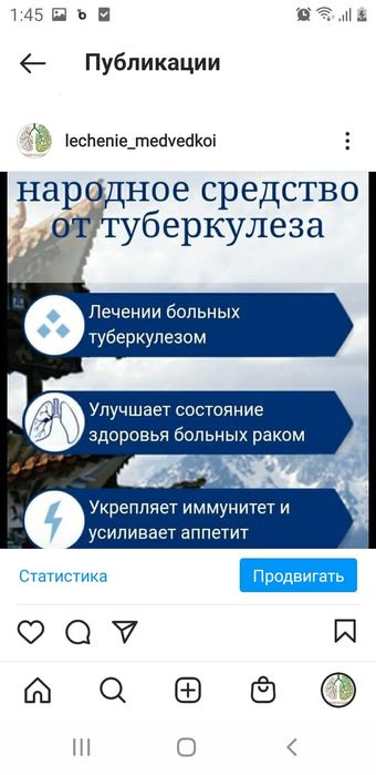 Сушеные медведки