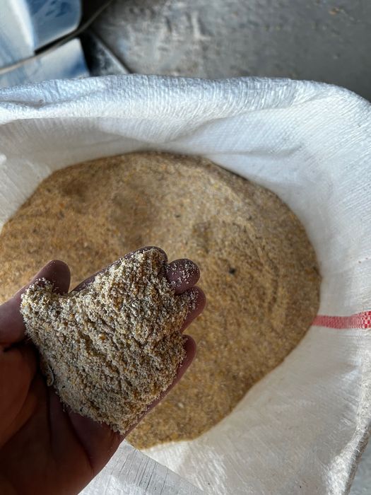 Vând triticale furaj