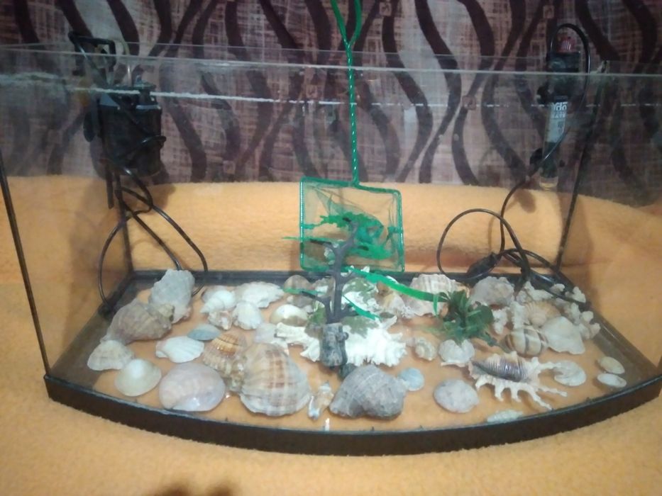 Vand acvariu cu filtru ciorpac incalzitor  cu termostat reglabil