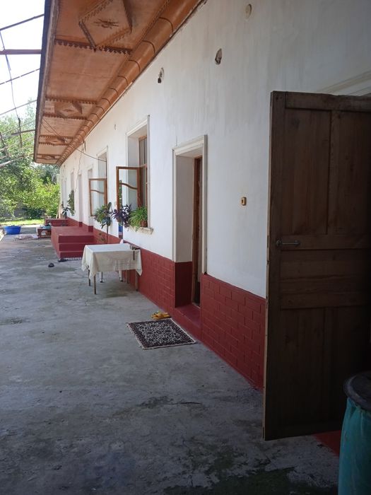 Уй куктереда жойлашган