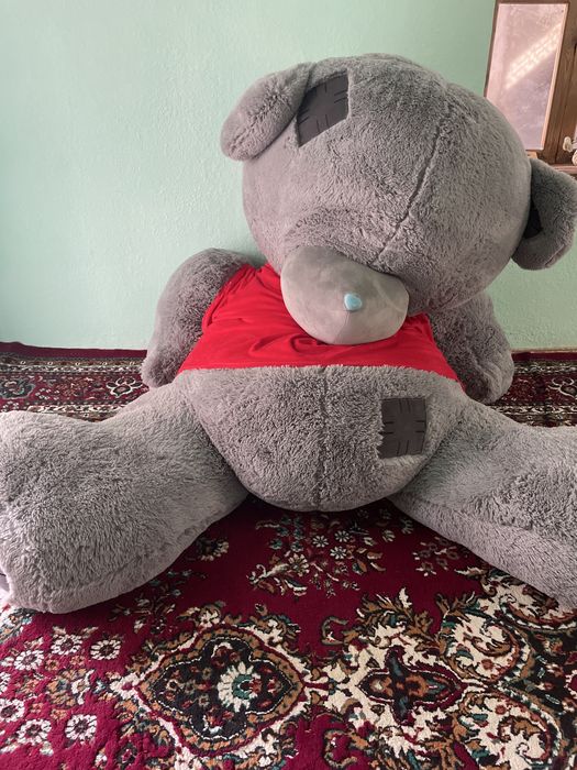 Ayiq kotta sevishganlar uchun juda chiroyli va xolati yaxwi kelib k