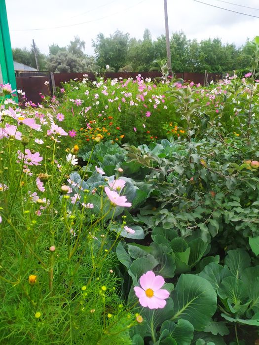 Продам дачу с баней в  СТ  Борки