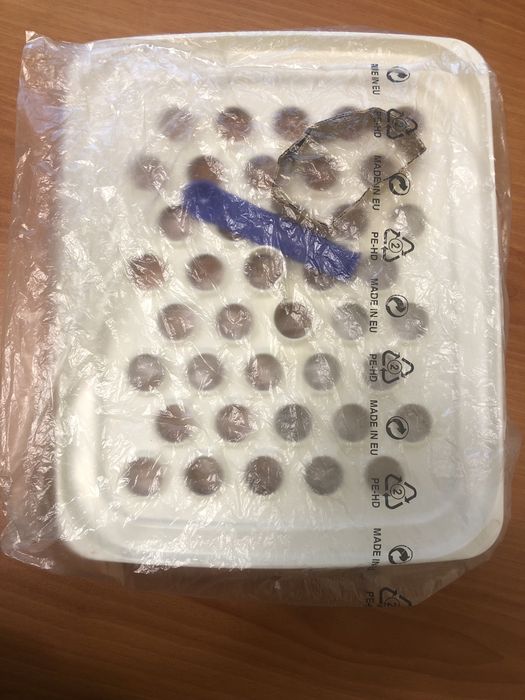 Tupperware, пельменница