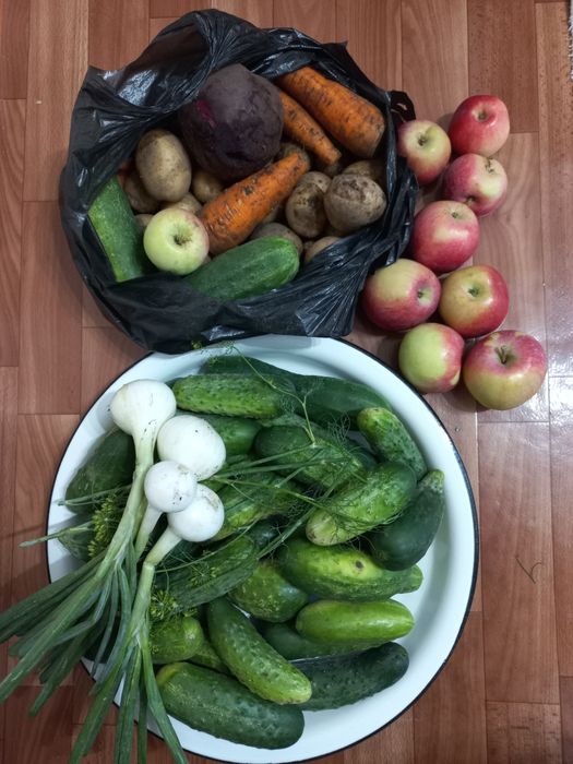 Продам дачу с домиком в районе Кривое озеро