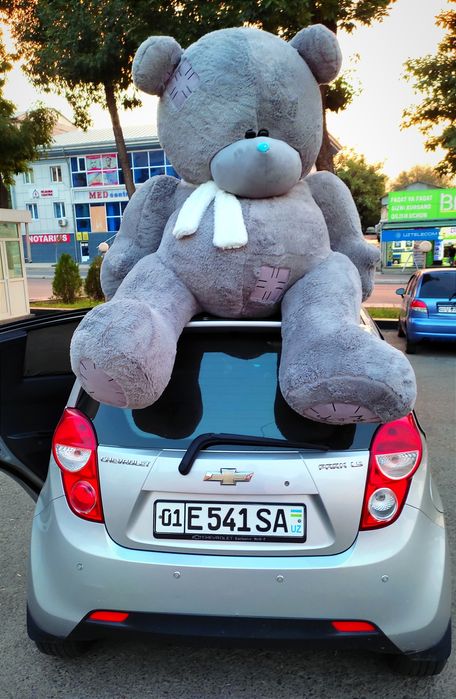 Teddi teddy ayiq miyahki original