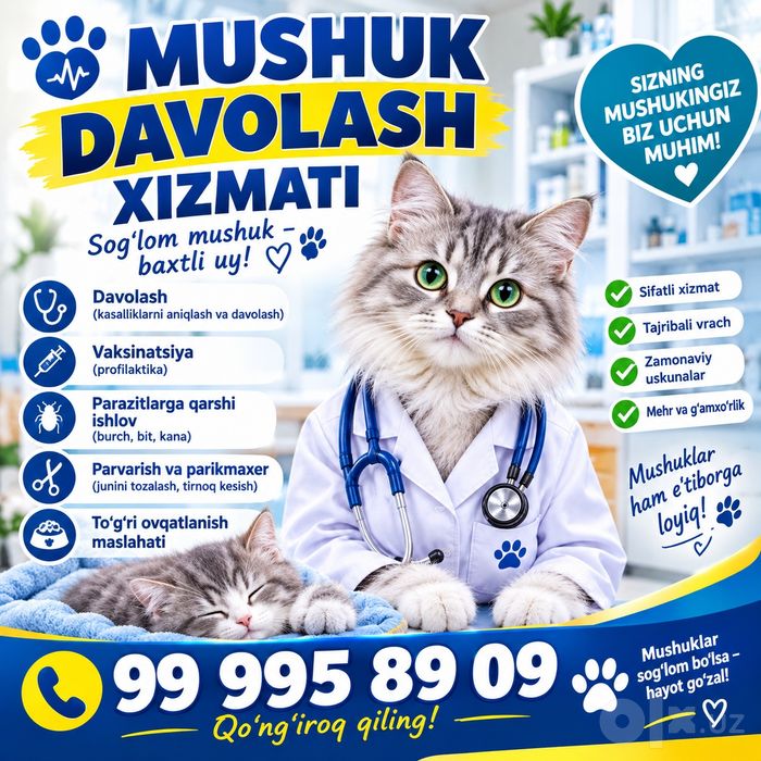 *Mushuklarni davolash xizmati