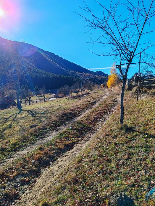 Teren intravilan in Bran - Simon