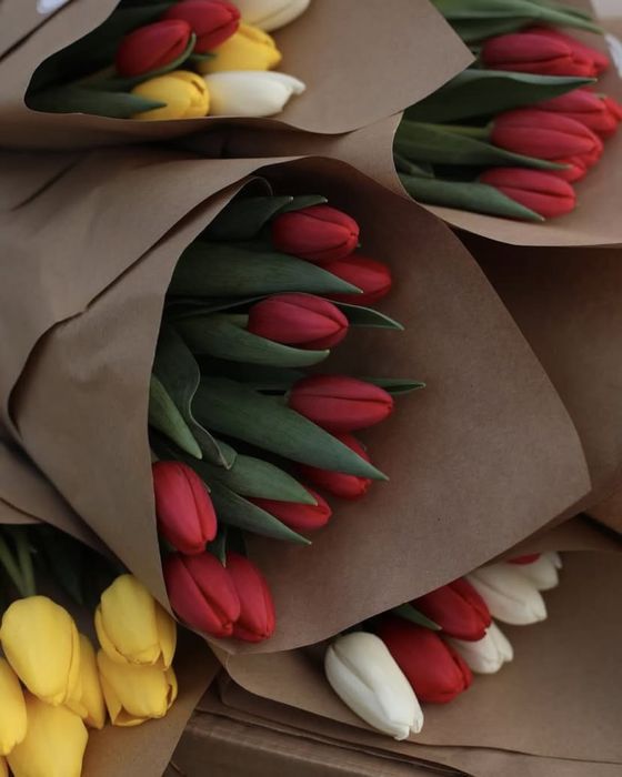 тюльпан оптом розы