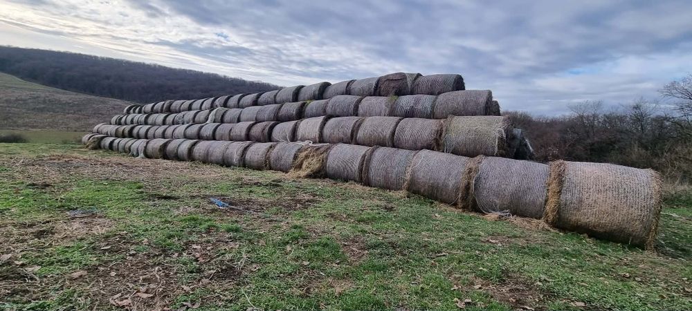 Vând baloți de fân 120×120 150 ron / bucata!!