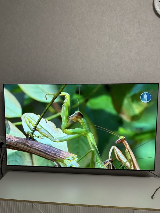 Smart телевизор LG OLED65